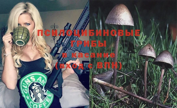 гидра Балабаново