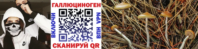 Галлюциногенные грибы ЛСД  МЕГА зеркало  Себеж  купить наркотик 